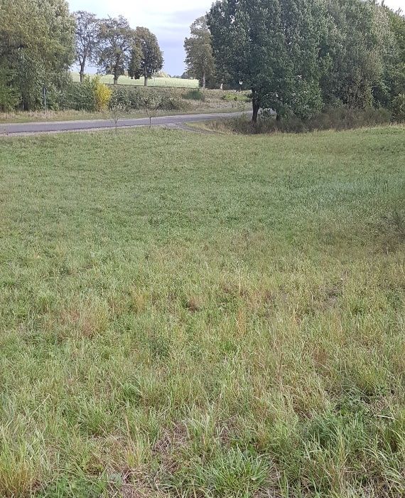 Działka budowlana Gąbin. Zdjęcie 3