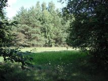 Działka rolno-budowlana Nowy Krysk. Zdjęcie 1