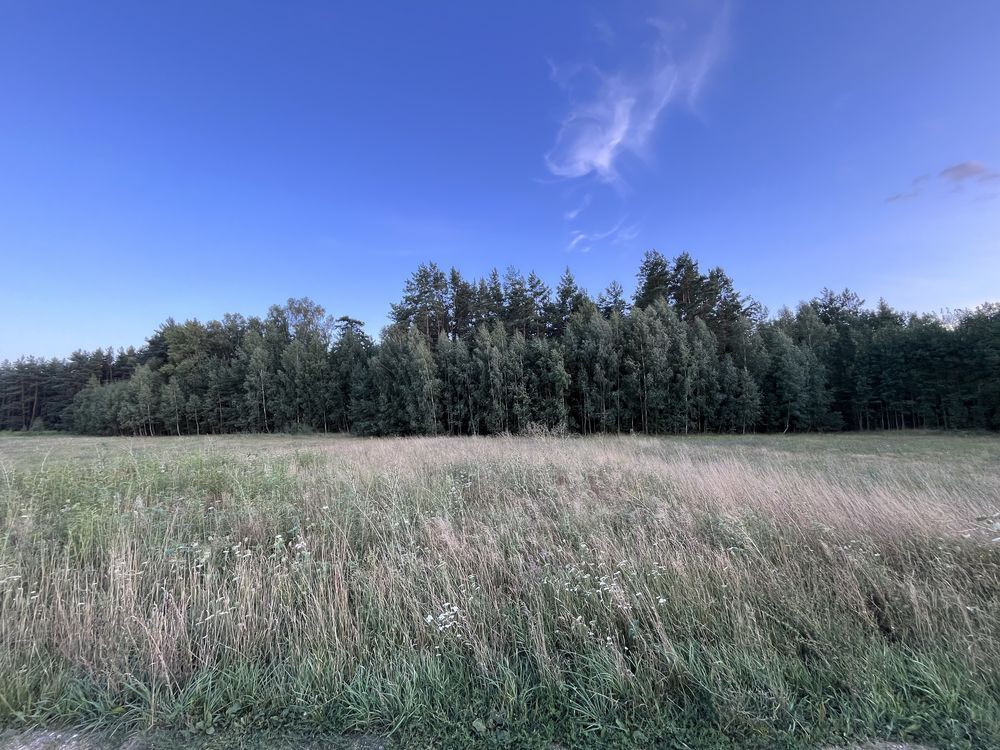 Działka rolno-budowlana Henrykowo. Zdjęcie 2