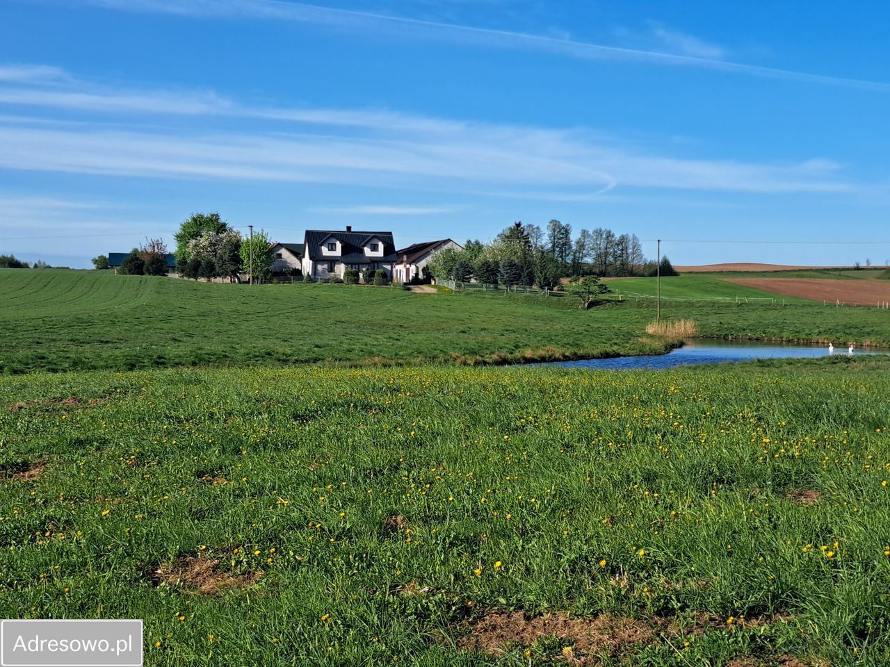 Działka rolna Kolonia Przerośl. Zdjęcie 7