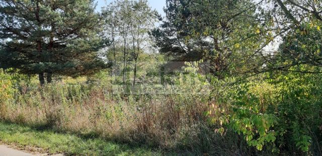 Działka rolno-budowlana Kaliszki. Zdjęcie 1