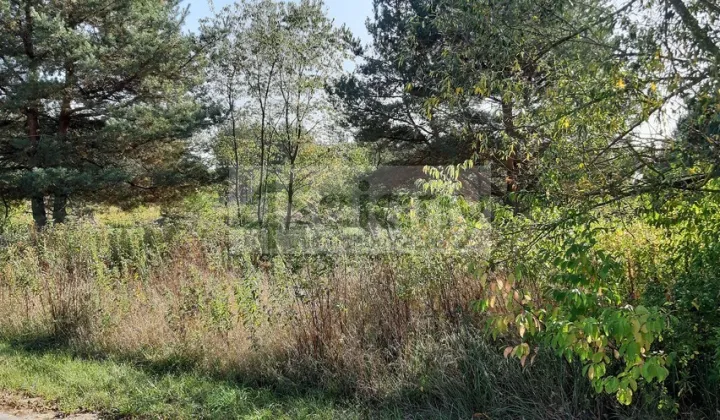 Działka rolno-budowlana Kaliszki