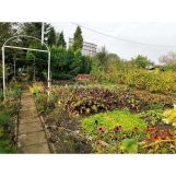 Działka rod Bielsko-Biała, ul. Zofii Kossak-Szczuckiej. Zdjęcie 3