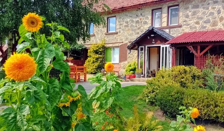 dom wolnostojący, 8 pokoi Radostów Średni, Radostów Średni