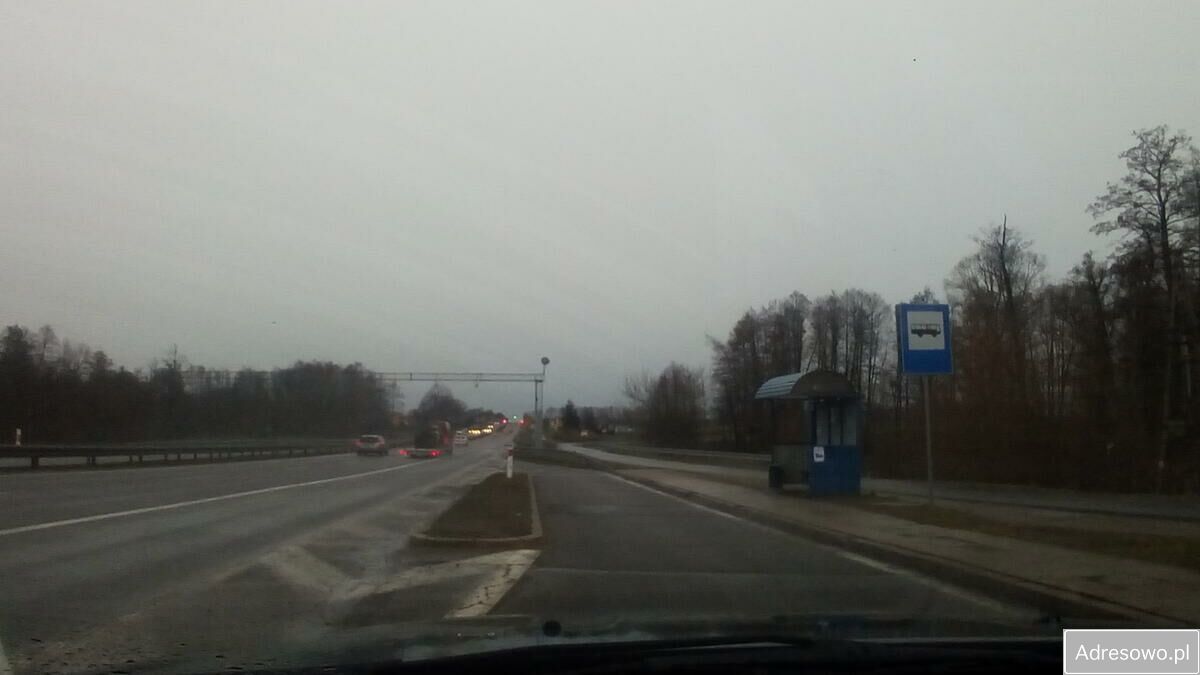 Działka rolna Proboszczewice. Zdjęcie 3