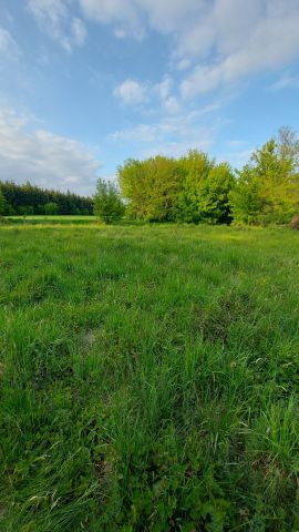 Działka rolna Bolimowska Wieś. Zdjęcie 1