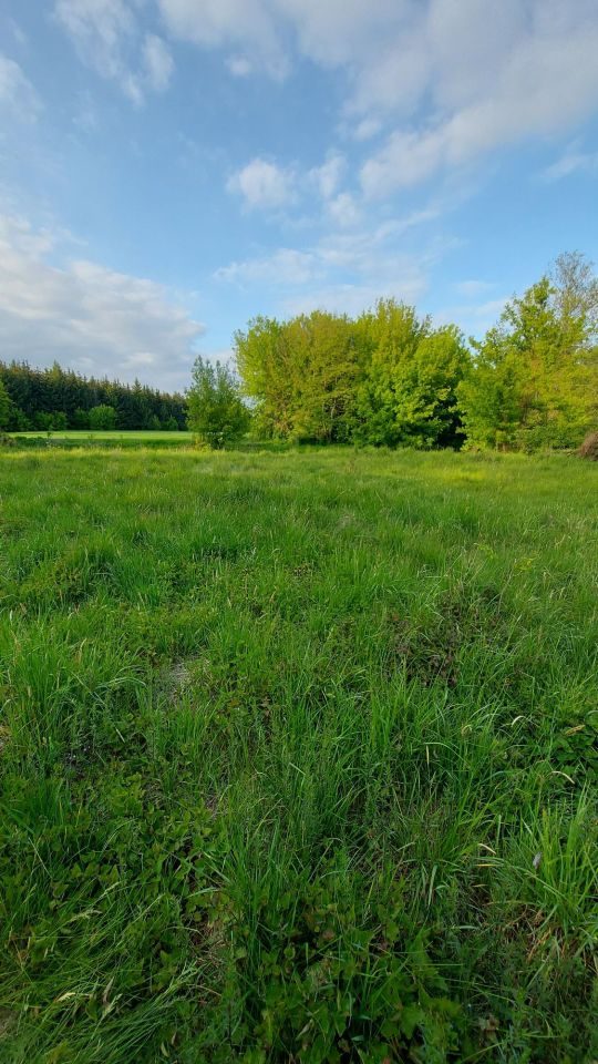 Działka rolna Bolimowska Wieś