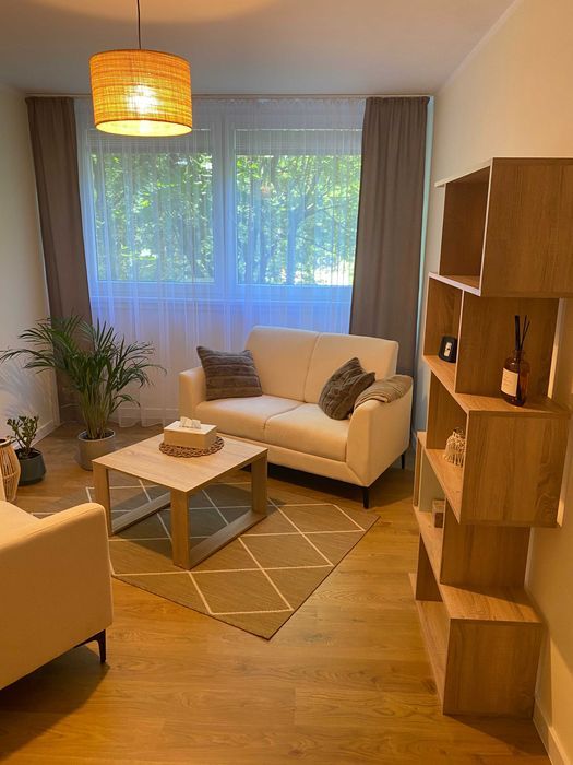 Lokal Wrocław Stare Miasto. Zdjęcie 5