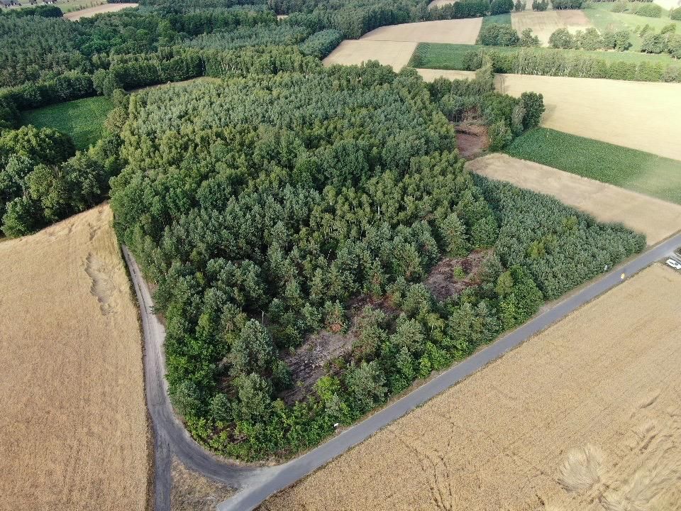 Działka budowlana Czarnybród. Zdjęcie 4