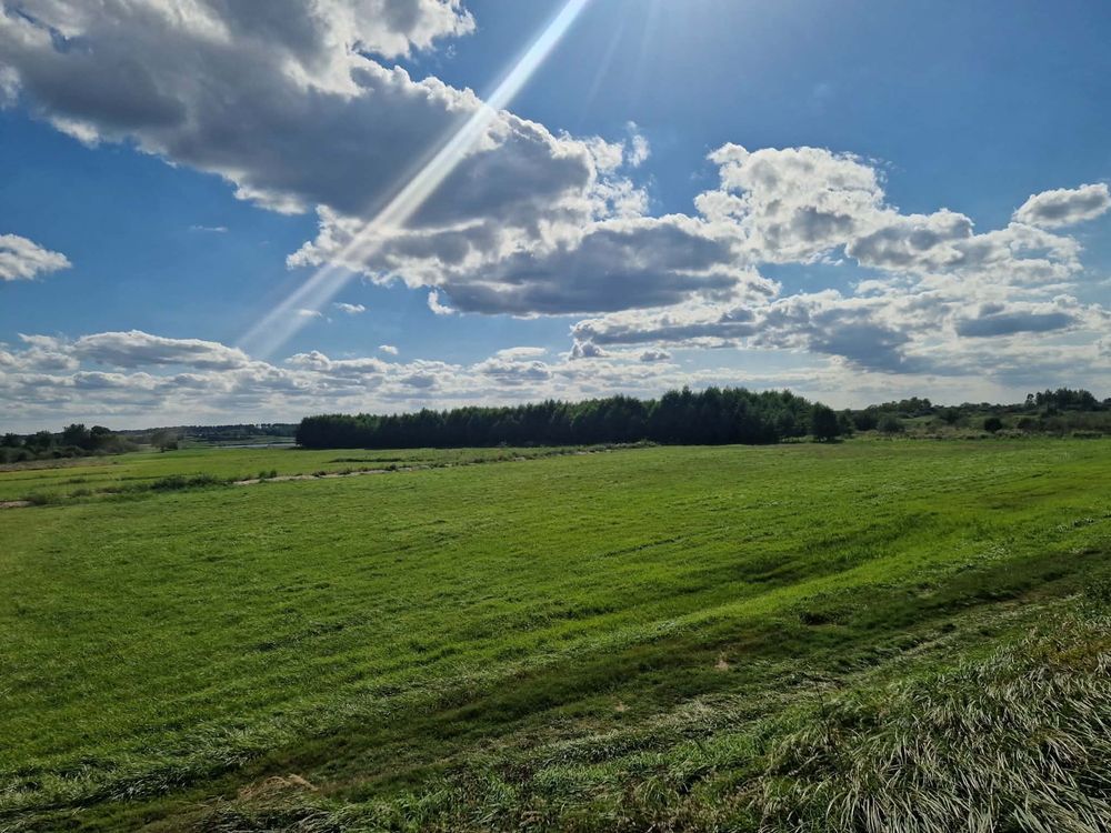 Działka siedliskowa Pawłówek. Zdjęcie 6