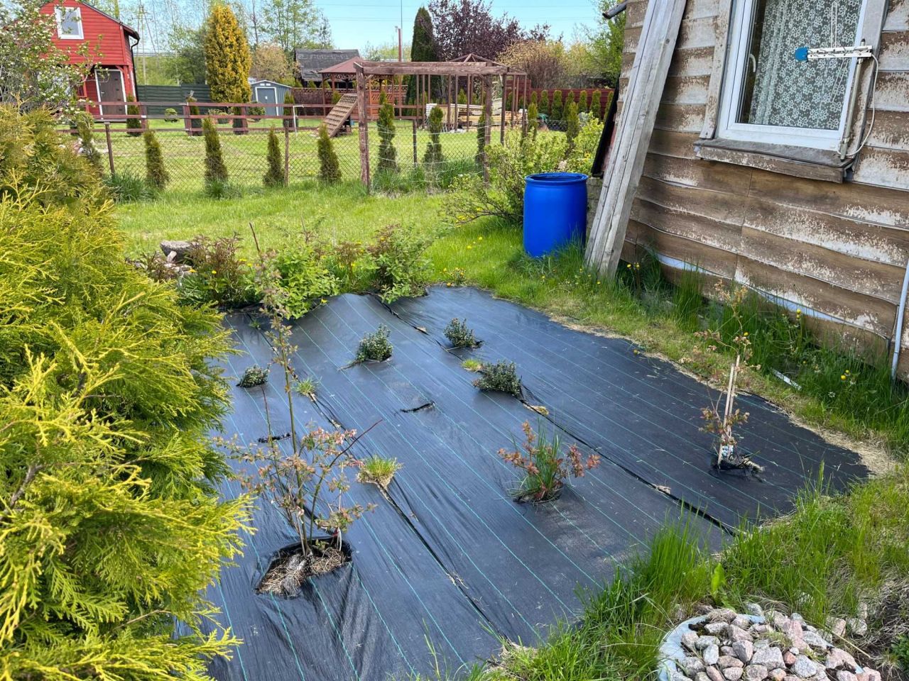 Działka rod Gdańsk Rębiechowo, ul. Nowatorów. Zdjęcie 6