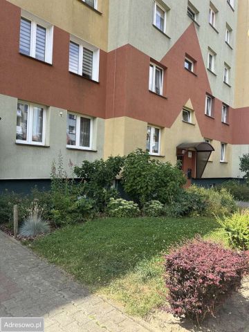 Mieszkanie 3-pokojowe Głogów, ul. Wojska Polskiego. Zdjęcie 1