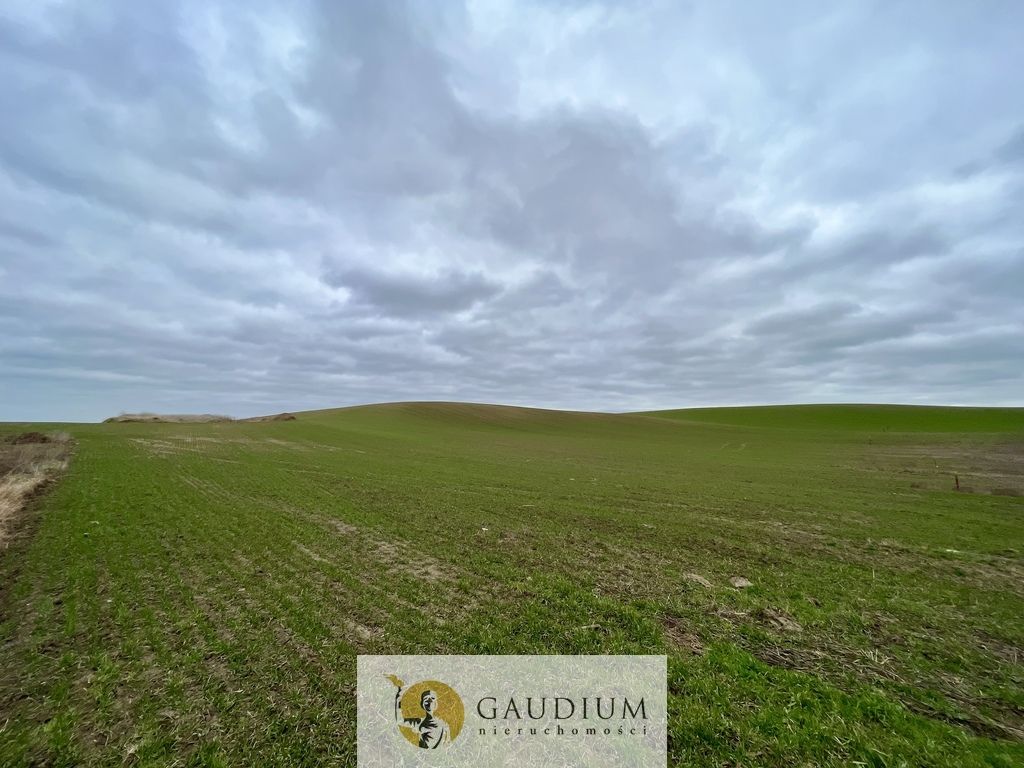 Działka Lubiszewo Tczewskie. Zdjęcie 9