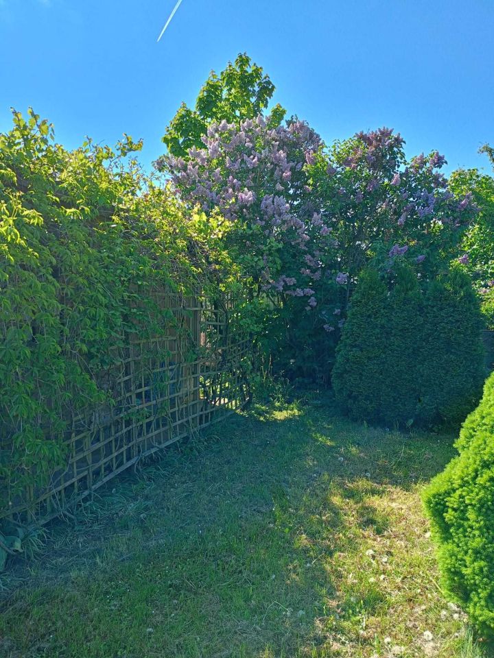 Działka rod Lubin. Zdjęcie 6