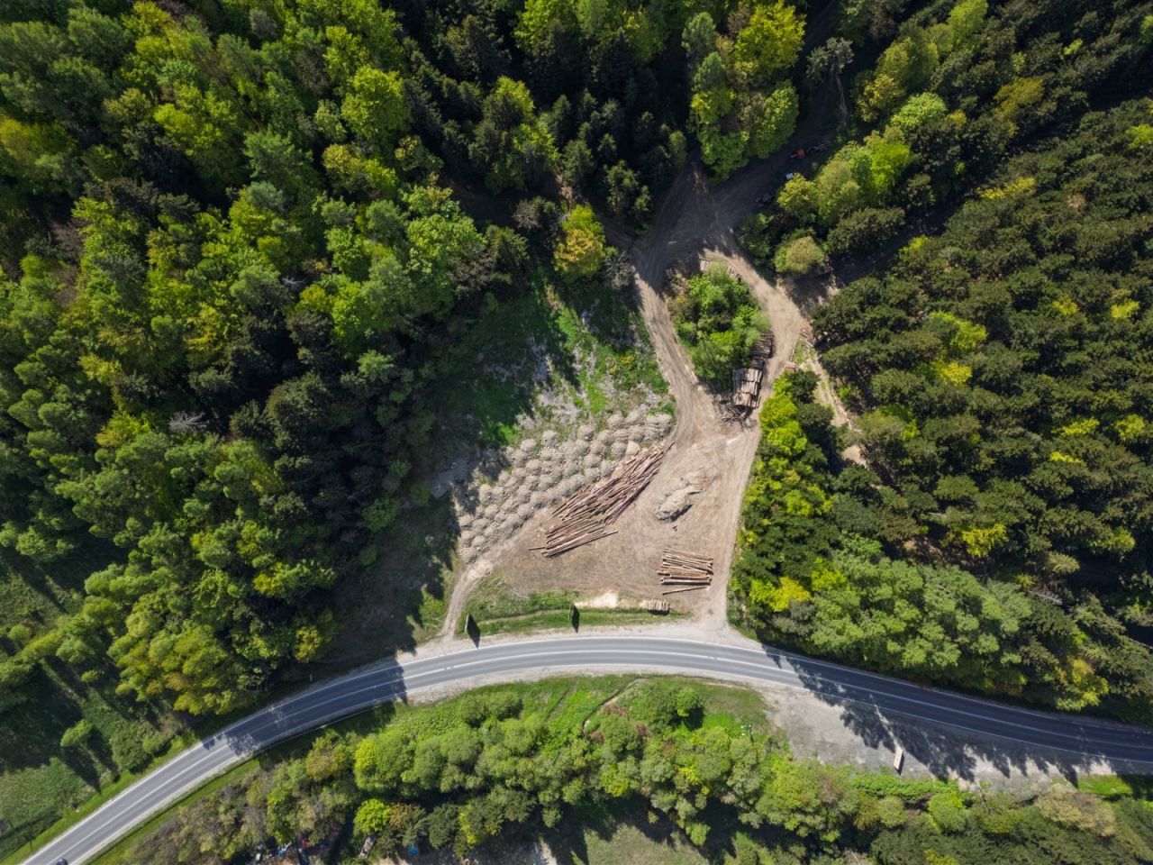 Działka inwestycyjna Krynica-Zdrój. Zdjęcie 13