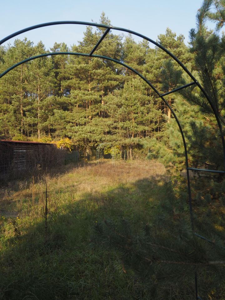 Działka budowlana Dzikowo Chrapy, ul. Tulipanowa. Zdjęcie 5