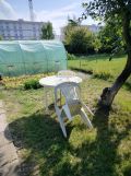 Działka rod Wrocław Klecina, ul. Dożynkowa. Zdjęcie 2