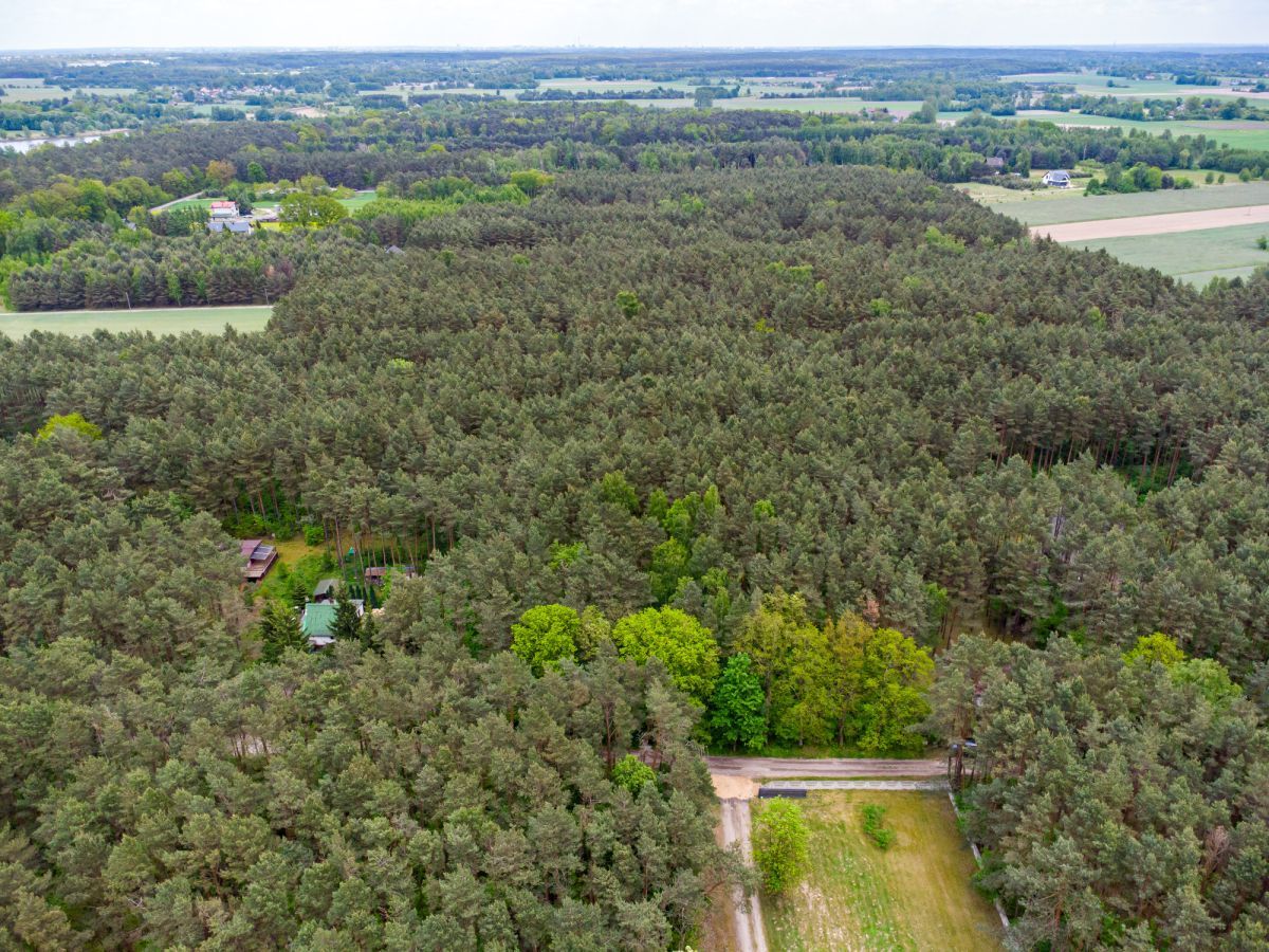 Działka inwestycyjna Słowak, ul. Droga Mleczna. Zdjęcie 10