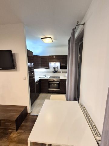 Mieszkanie 1-pokojowe Wrocław, ul. gen. Ignacego Prądzyńskiego. Zdjęcie 2