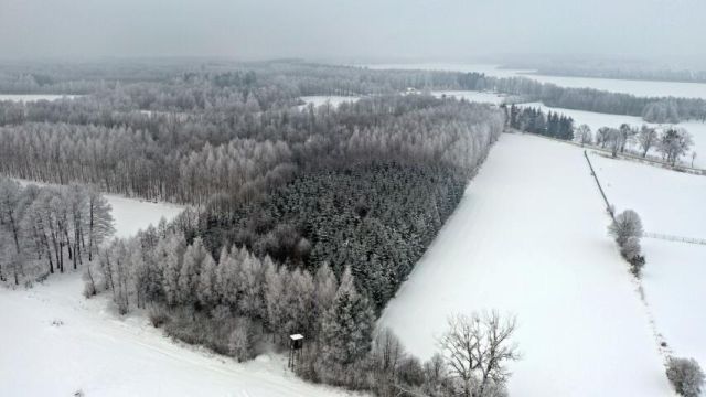 Działka leśna Harsz. Zdjęcie 12