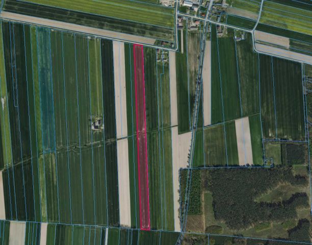 Działka rolna Wrońsko. Zdjęcie 1