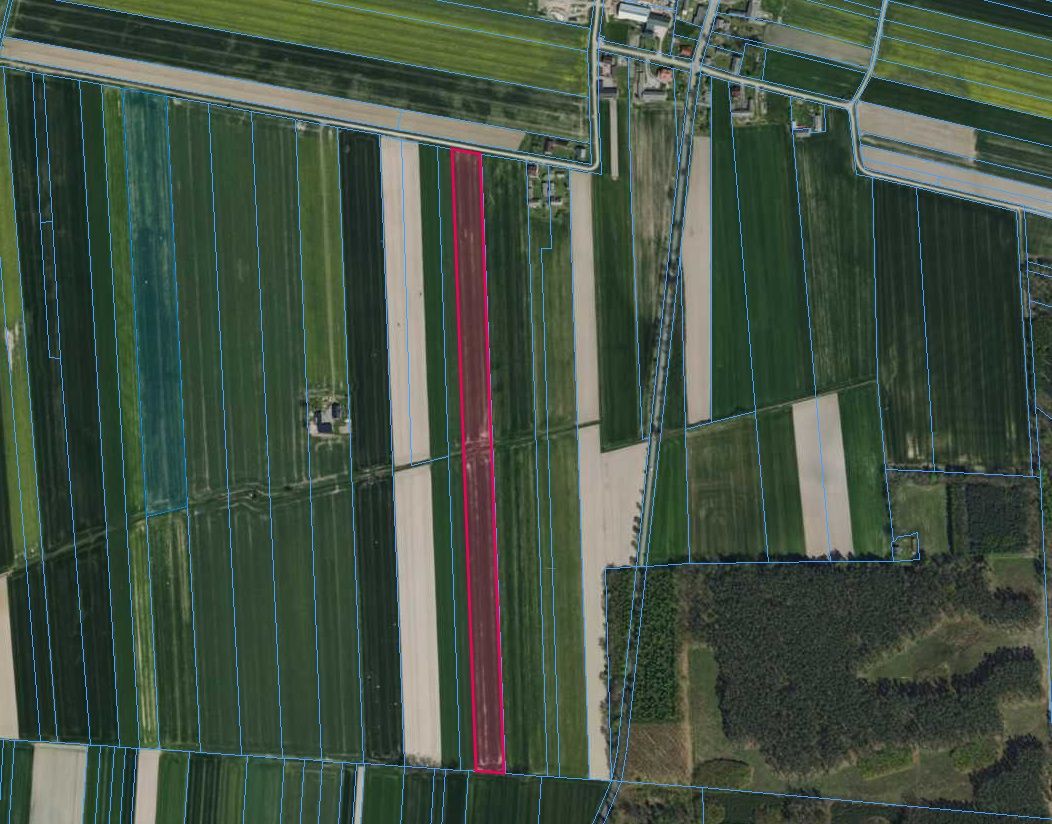 Działka rolna Wrońsko. Zdjęcie 1