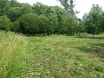 Działka rolna Szklary. Zdjęcie 3