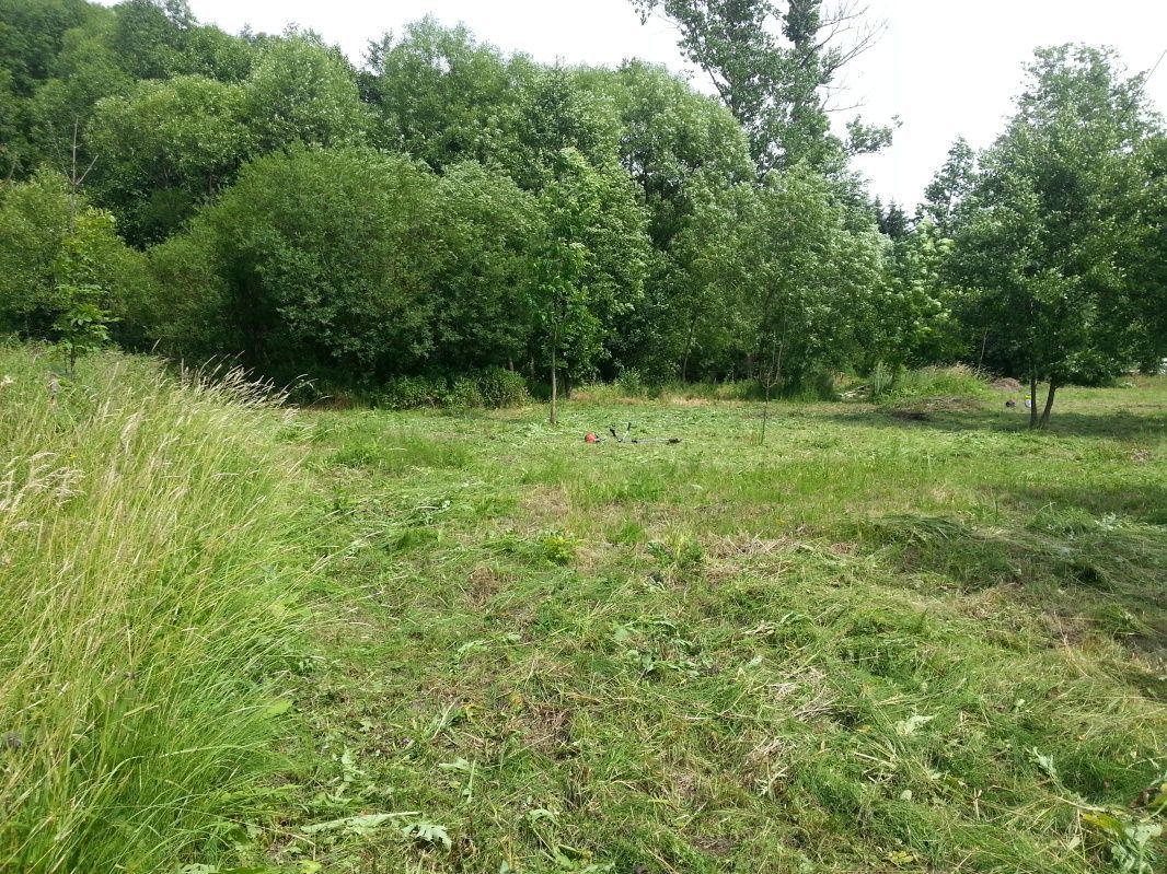 Działka rolna Szklary. Zdjęcie 4