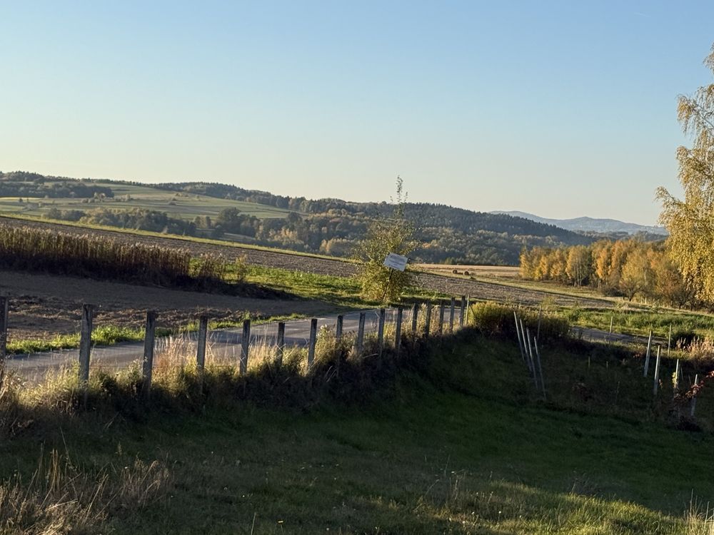 gospodarstwo Święcany. Zdjęcie 7