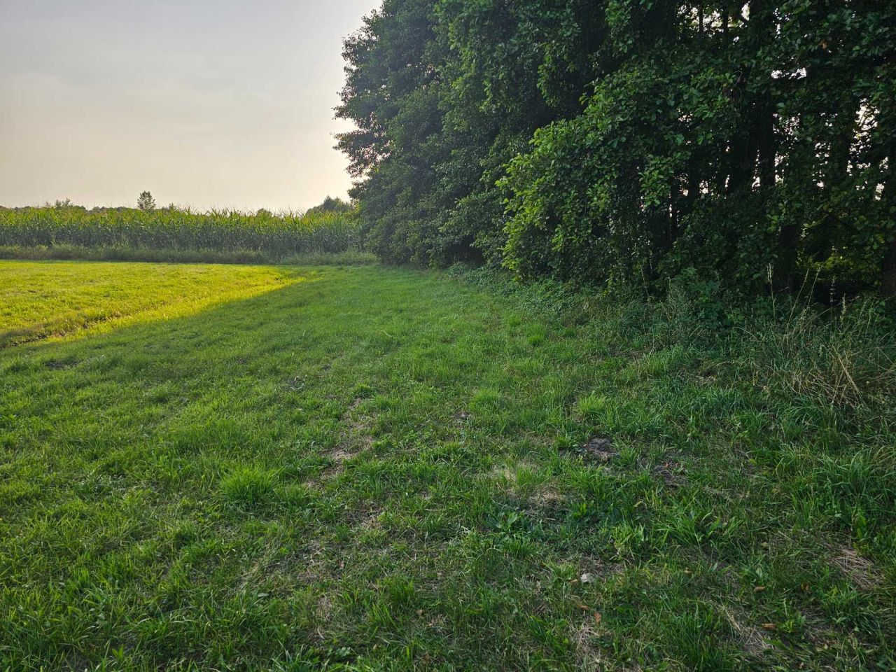 Działka budowlana Bukowiec. Zdjęcie 6