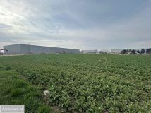 Działka inwestycyjna Robakowo. Zdjęcie 4