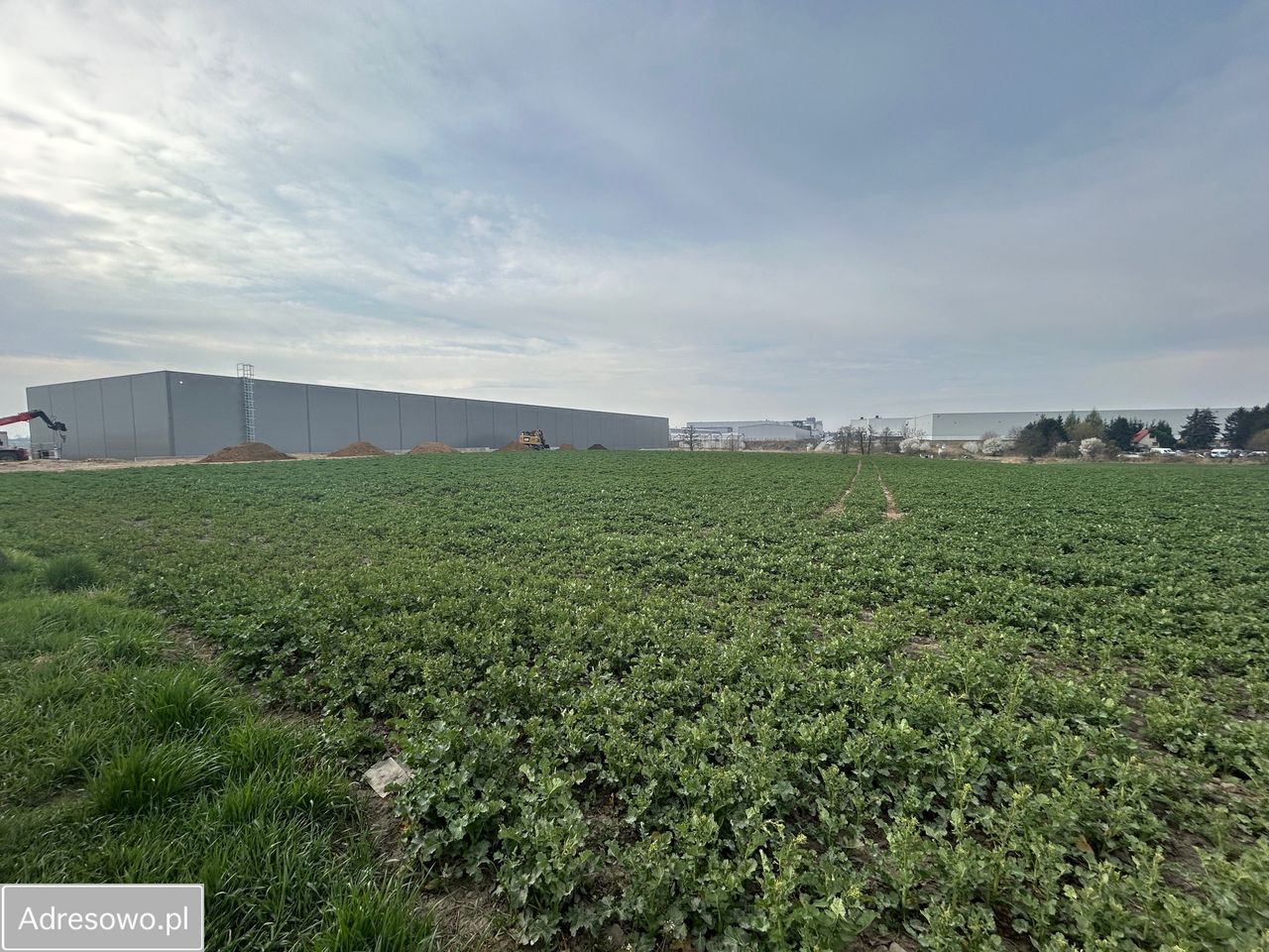 Działka inwestycyjna Robakowo. Zdjęcie 5