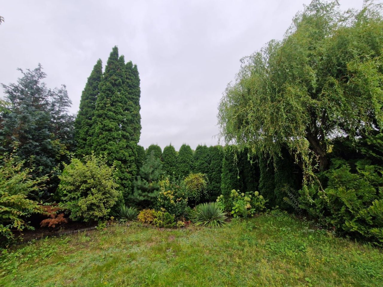 Działka rod Poznań Ławica, ul. Złotowska. Zdjęcie 6