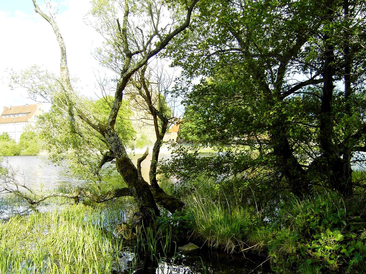 Działka budowlana Pasym, ul. Ostrów. Zdjęcie 10