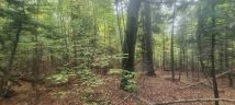 Działka leśna Łodygowice. Zdjęcie 1