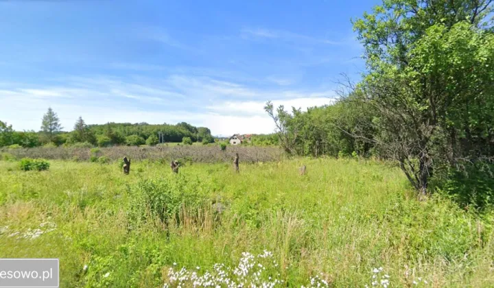 Działka siedliskowa Łęcze