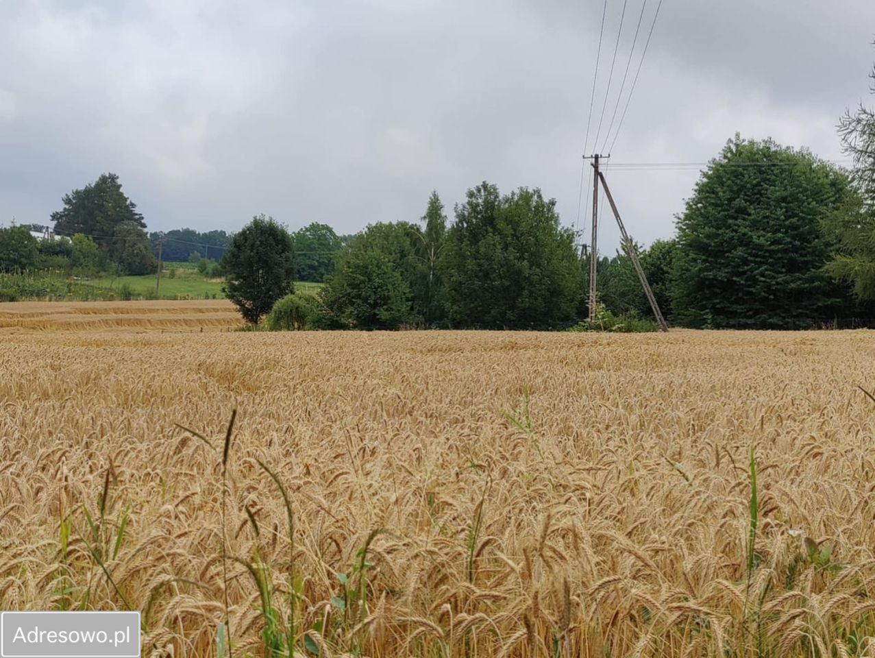 Działka budowlana Międzyświeć, ul. Jeżynowa. Zdjęcie 7