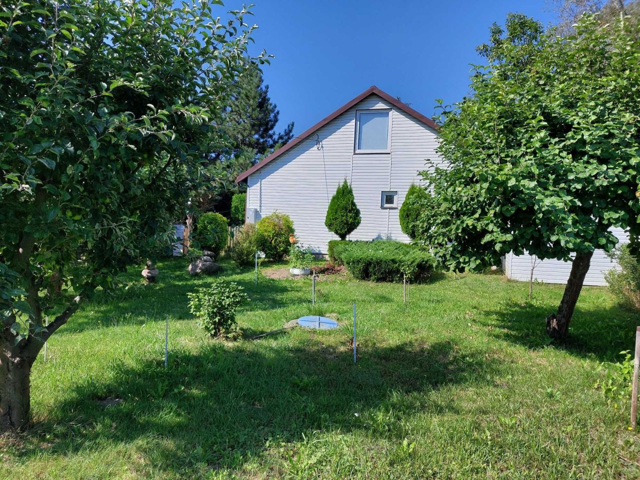 Działka siedliskowa Bolino. Zdjęcie 7