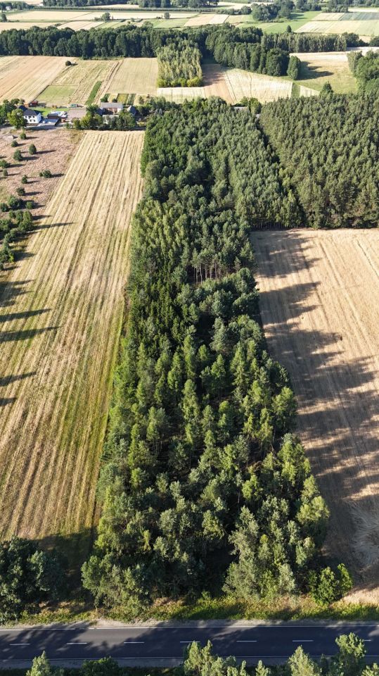 Działka leśna Sławczyn. Zdjęcie 4