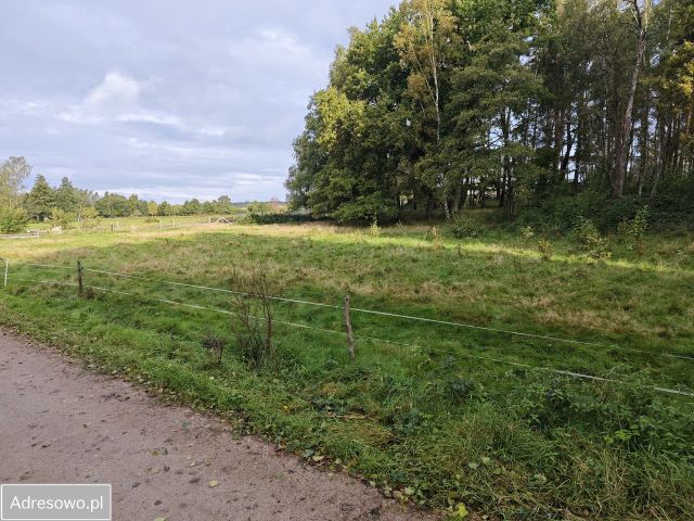 Działka inwestycyjna Słajszewo. Zdjęcie 1
