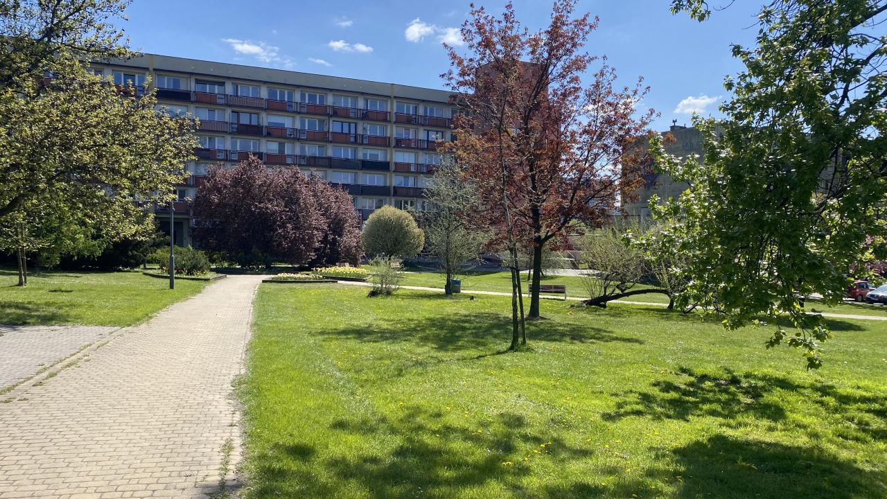 Mieszkanie 1-pokojowe Chorzów Klimzowiec, ul. Szczecińska. Zdjęcie 8