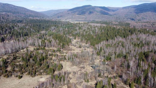 Działka budowlana Strzebowiska. Zdjęcie 5