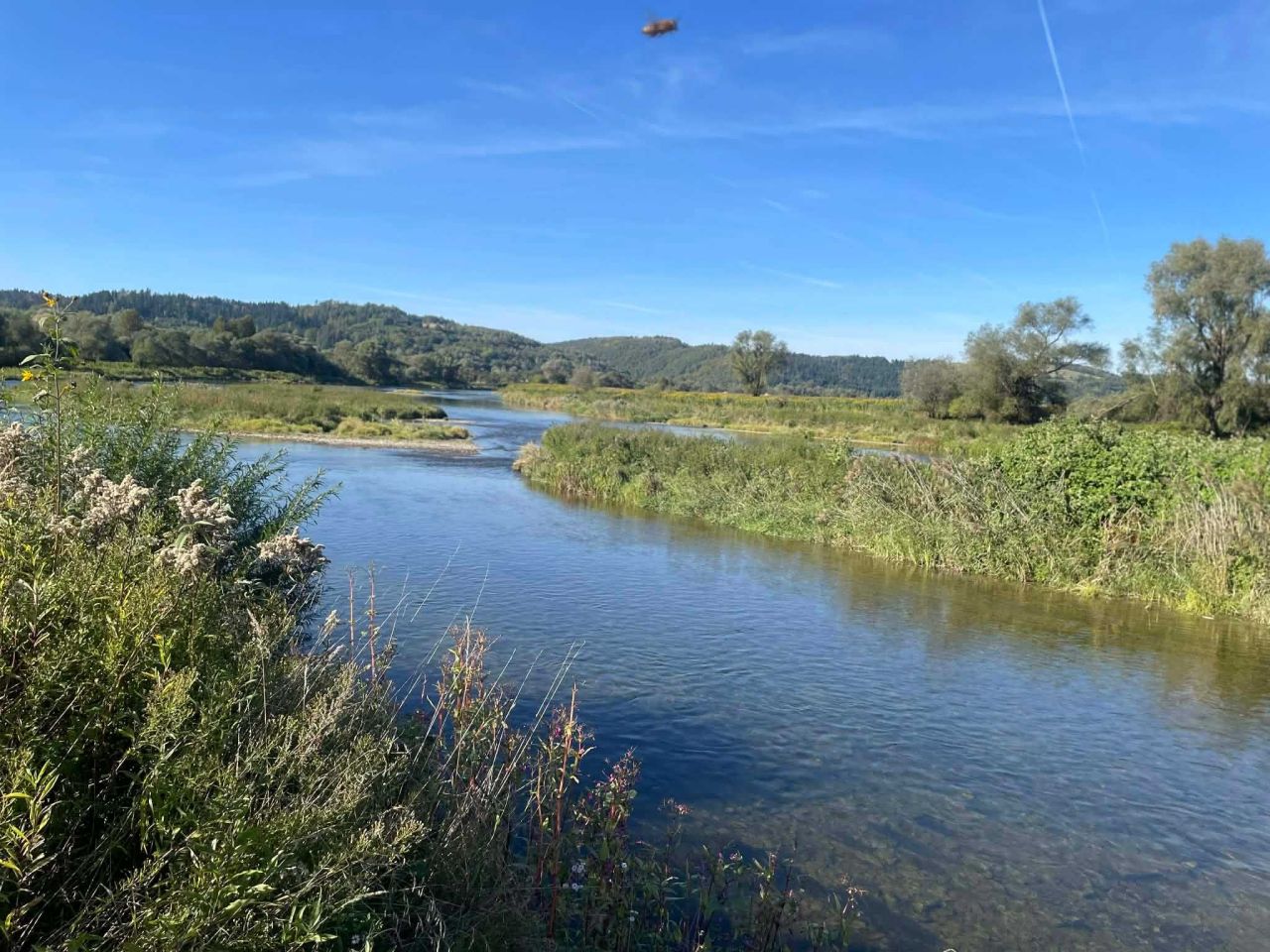 Działka rekreacyjna Temeszów. Zdjęcie 4