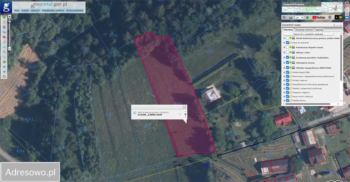 Działka budowlana Wysoka. Zdjęcie 4