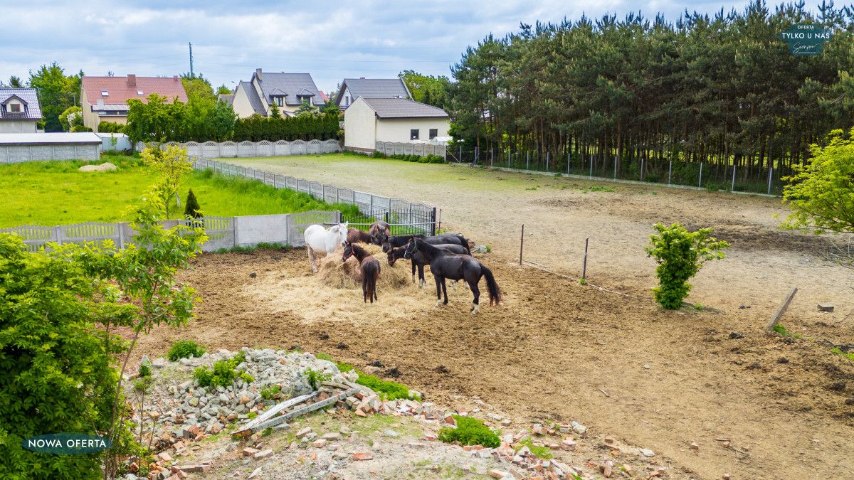 dom wolnostojący, 1 pokój Dąbrowa, ul. św. Wawrzyńca. Zdjęcie 24