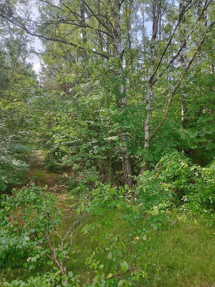 Działka budowlana Rakówka. Zdjęcie 3