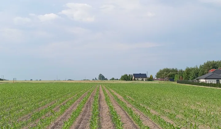 Działka budowlana Lelice