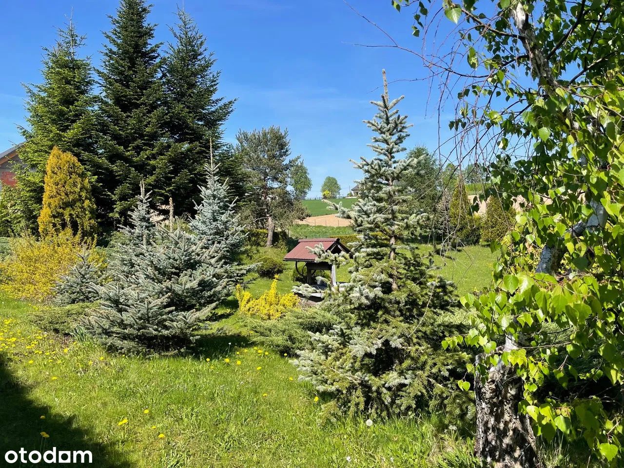 Działka budowlana Rudzica Laryszówka. Zdjęcie 2