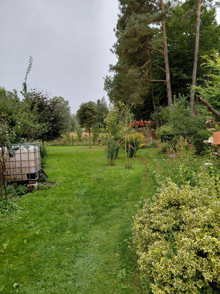 dom wolnostojący, 4 pokoje Sierpowo. Zdjęcie 25