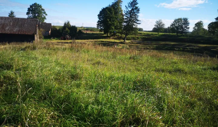 Działka rolna Kowale Oleckie